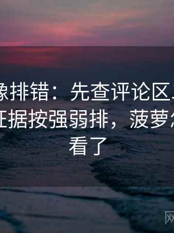 菠萝TV像排错：先查评论区二次改写吗再把证据按强弱排，菠萝怎么不能看了