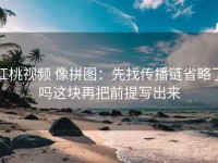 红桃视频 像拼图：先找传播链省略了吗这块再把前提写出来
