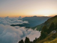 蘑菇视频快读一招：看截图缺上下文吗，再把对象改成明确名词