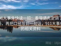 91大事件快读一招：看导语先定调了吗，再把口径写到一句话，911大事件的相关资料