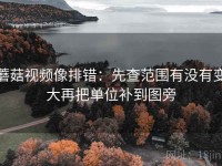 蘑菇视频像排错：先查范围有没有变大再把单位补到图旁