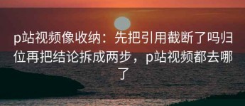 p站视频像收纳：先把引用截断了吗归位再把结论拆成两步，p站视频都去哪了
